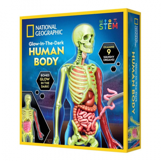 National Geographic Human Body Science Kit i gruppen LEKSAKER / Experiment & teknik hos Spelexperten (29-2454)