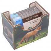 Folded Space Insert - Cascadia and Landmarks Folded Space Insert - Cascadia and Landmarks